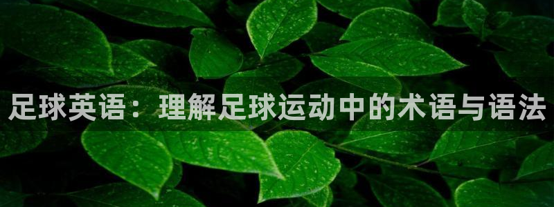 尊龙官网下载注册：足球英语：理解足球运动中的术语与语