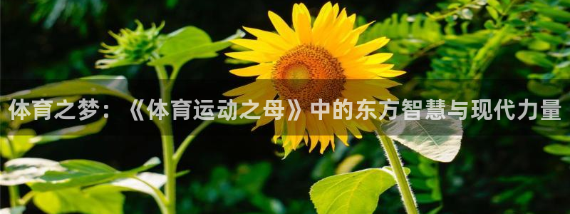 尊龙官方正版app娱乐代理怎么样：体育之梦：《体育运