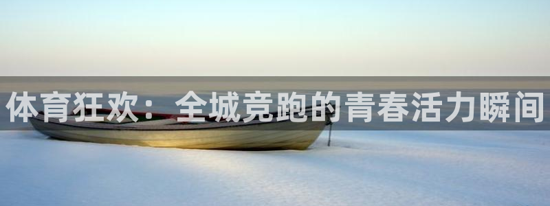 尊龙官方正版app娱乐首页官网下载：体育狂欢：全城竞