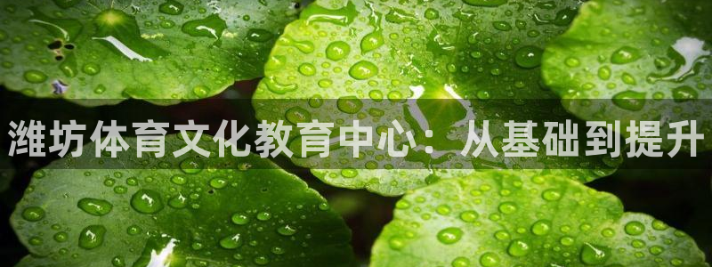 注册尊龙官方正版app：潍坊体育文化教育中心：从基础