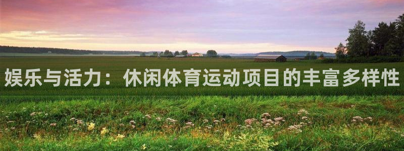 尊龙官方正版app集团官网网址：娱乐与活力：休闲体育运动项目