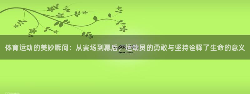 尊龙官方正版app科技：体育运动的美妙瞬间：从赛场到
