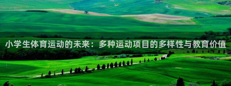 尊龙官网下载是干嘛的公司：小学生体育运动的未来：多种