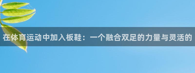 尊龙官方正版app代理：在体育运动中加入板鞋：一个融