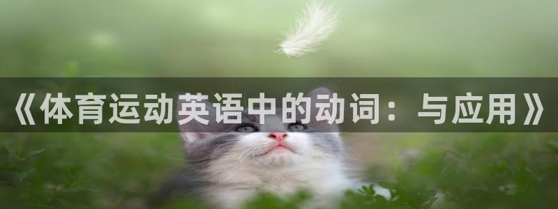 尊龙官网下载招商电话是多少：《体育运动英语中的动词：