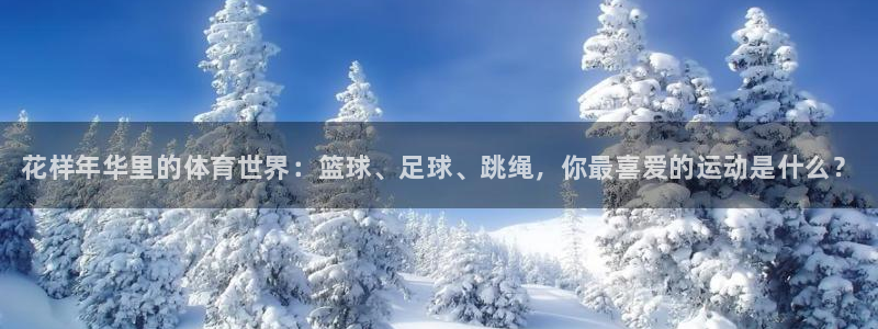 尊龙官网下载平台：花样年华里的体育世界：篮球、足球、
