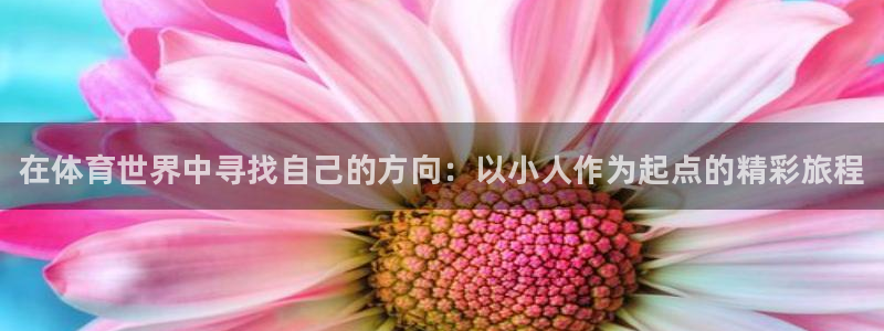 尊龙官网下载平台假的吗是真的吗吗：在体育世界中寻找自