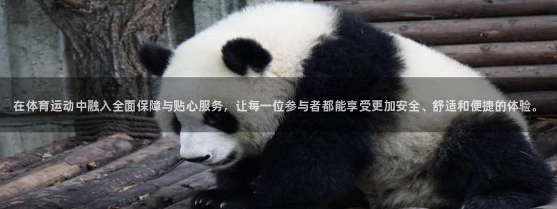 海南尊龙官网下载