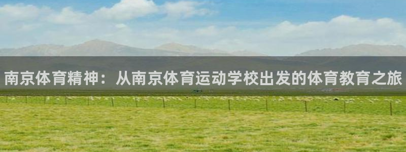 尊龙官方正版app新能源：南京体育精神：从南京体育运