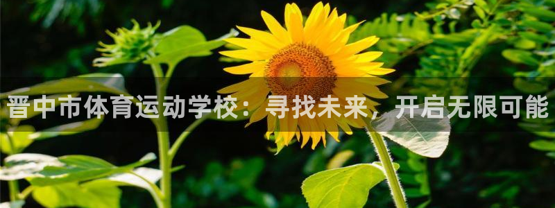 尊龙官网下载开户
