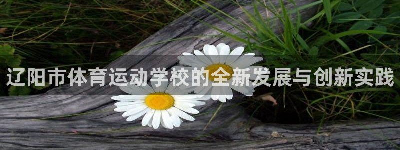 尊龙官方正版app开户