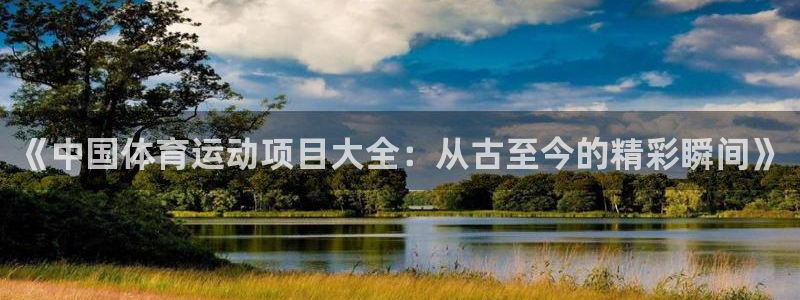 尊龙官网下载平台假的吗是真的吗吗：《中国体育运动项目大全：从