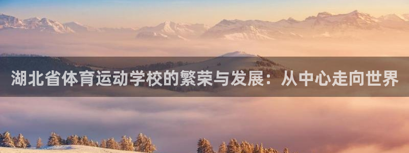 尊龙官网下载平台注册要钱吗：湖北省体育运动学校的繁荣
