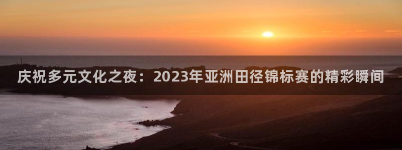 尊龙官方正版app开户：庆祝多元文化之夜：2023年