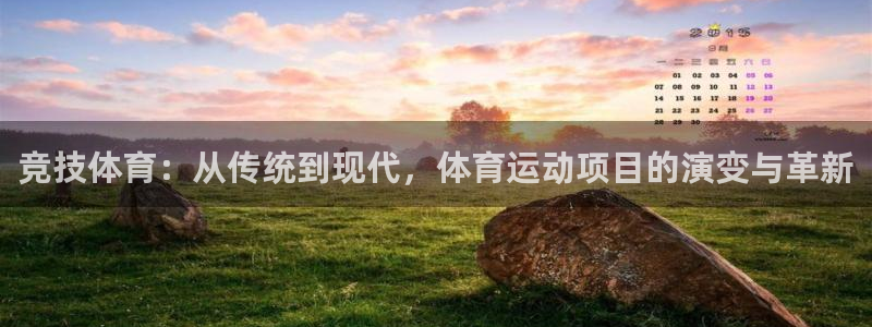 尊龙官网下载平台注册要钱吗是真的吗：竞技体育：从传统到现代，