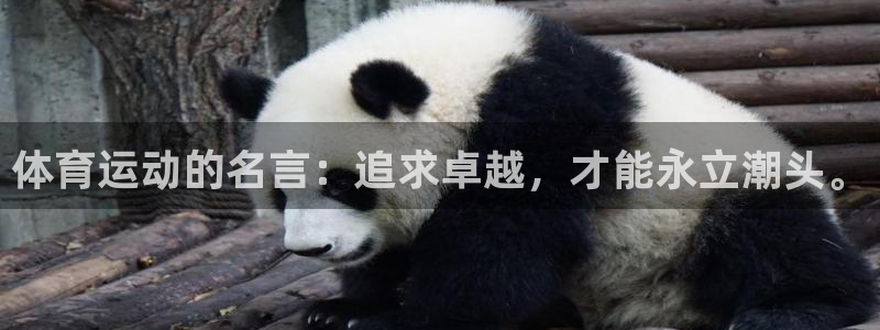 尊龙官网下载招商电话号码：体育运动的名言：追求卓越，才能永立