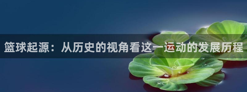 尊龙官网下载平台APP