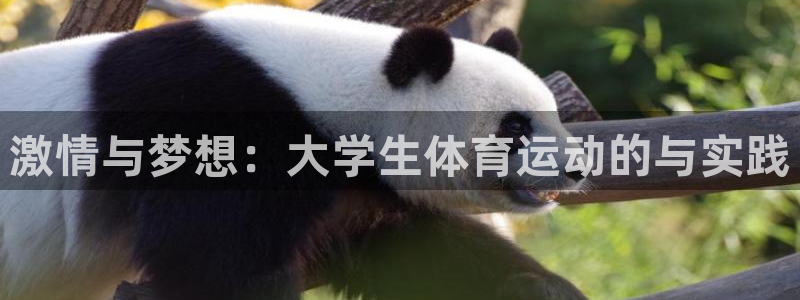 尊龙官方正版app官网