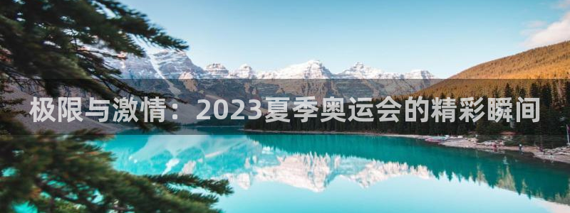 尊龙官方正版app五金厂：极限与激情：2023夏季奥运会的精