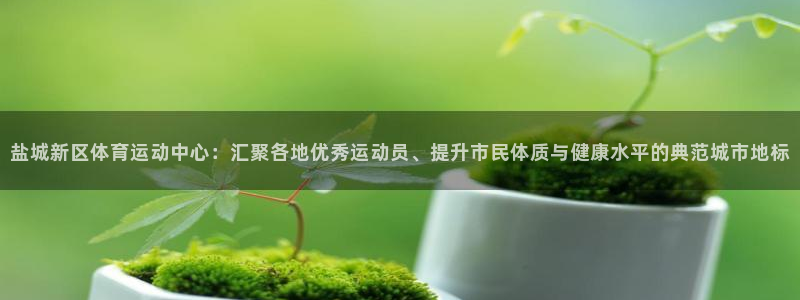 尊龙官网下载招商电话号码是多少啊：盐城新区体育运动中心：汇聚