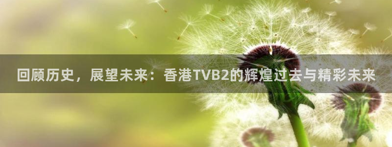 绿茵吧足球网：回顾历史，展望未来：香港TVB2的辉煌过去与精彩未来