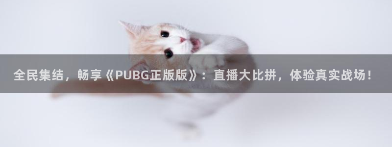 绿茵体育直播官网下载：全民集结，畅享《PUBG正版版》：直播大比拼，体验真实战场！