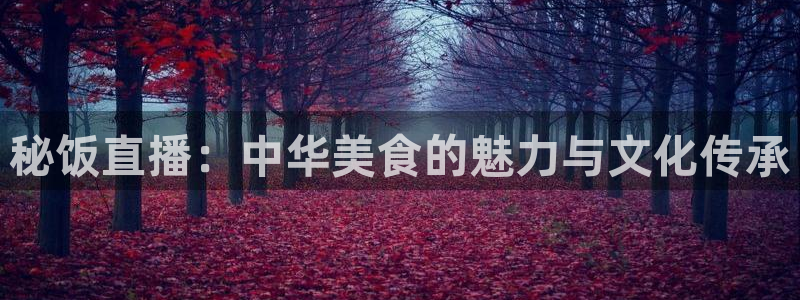 nba直播绿茵：秘饭直播：中华美食的魅力与文化传承