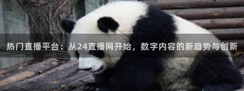 绿茵直播nba免费：热门直播平台：从24直播网开始，数字内容的新趋势与创新