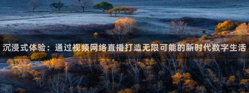 绿茵直播足球比赛在线观看：沉浸式体验：通过视频网络直播打造无限可能的新时代数字生活
