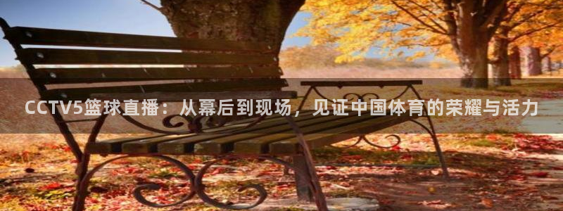绿茵直播体育免费直播：CCTV5篮球直播：从幕后到现场，见证中国体育的荣耀与活力