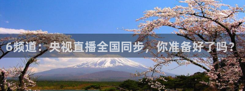 绿茵直播在线观看：6频道：央视直播全国同步，你准备好了吗？