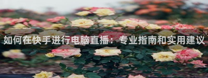 足球比赛绿茵直播：如何在快手进行电脑直播：专业指南和实用建议