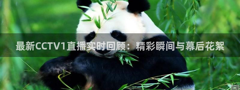 足球之绿茵球王：最新CCTV1直播实时回顾：精彩瞬间与幕后花絮